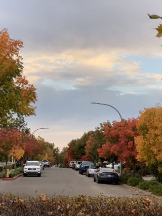 Catch the beauty of the western Fall