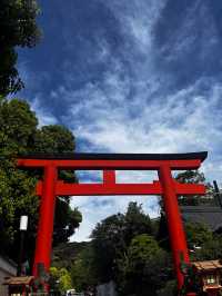 Experiencing the Heart of Japan in Kyoto 