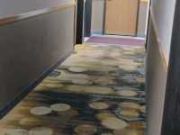 new remodel