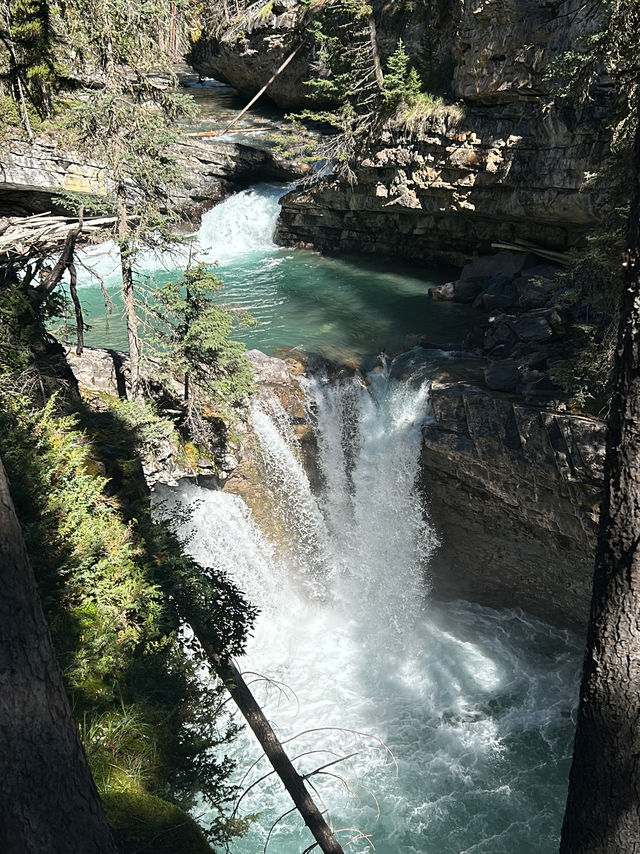🇨🇦バンフの人気トレイル🏞️【ジョンストンキャニオン】で滝と渓谷を満喫