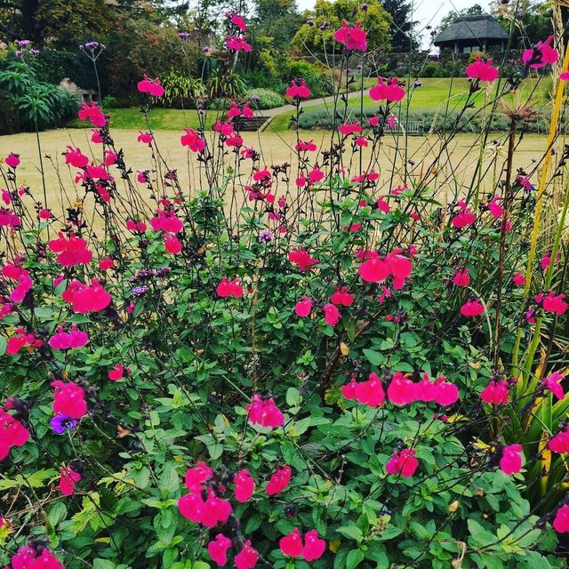 Brodick Castle, Garden and Country Park 🇬🇧