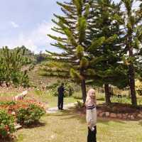 สวนไม้ดอกเมืองหนาวเบตง (สวนหมื่นบุปผา)