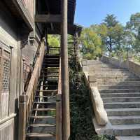 Puyuan - old beauty at new glance 