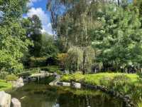 Holland Park London 🇬🇧