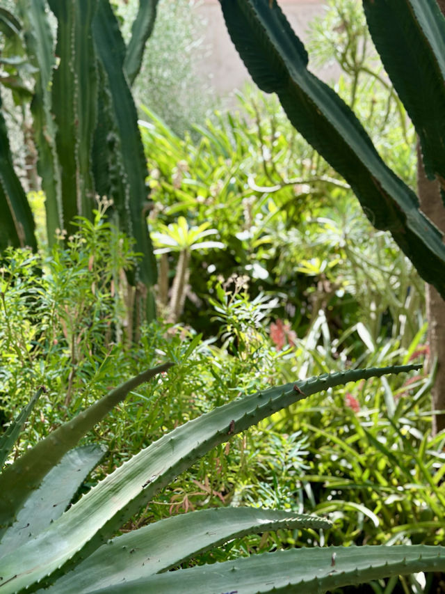 Discover the Secret Garden, Marrakesh 🌺🌿