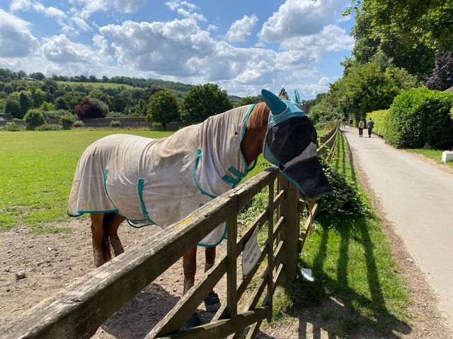 Discovering the Charm of Eynsford 🌿🏰 