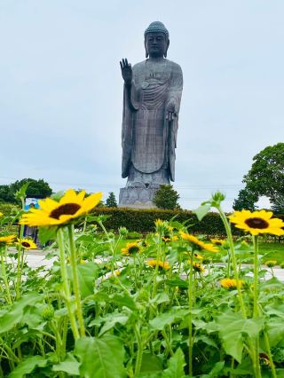 Ushiku Buddha Japan 🇯🇵 