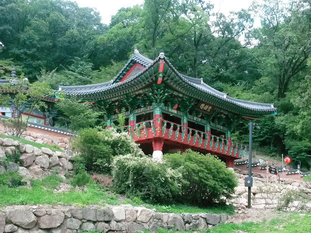 용문사에서 힐링하고 갈수 있어요 