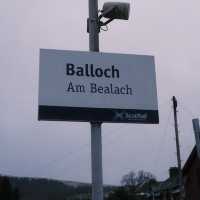Nice trip to Balloch