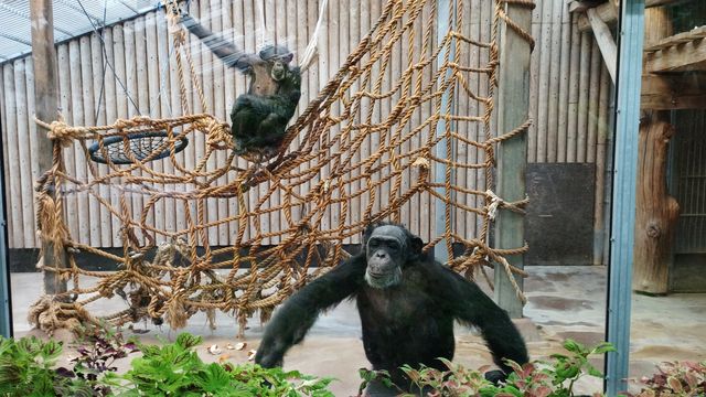 Tallinn Zoo - Estonia