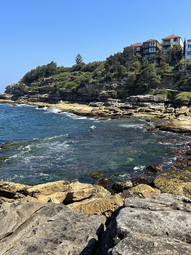 🌊 Coastal Bliss: Hiking from Coogee to Bondi Beach 🥾🏝️