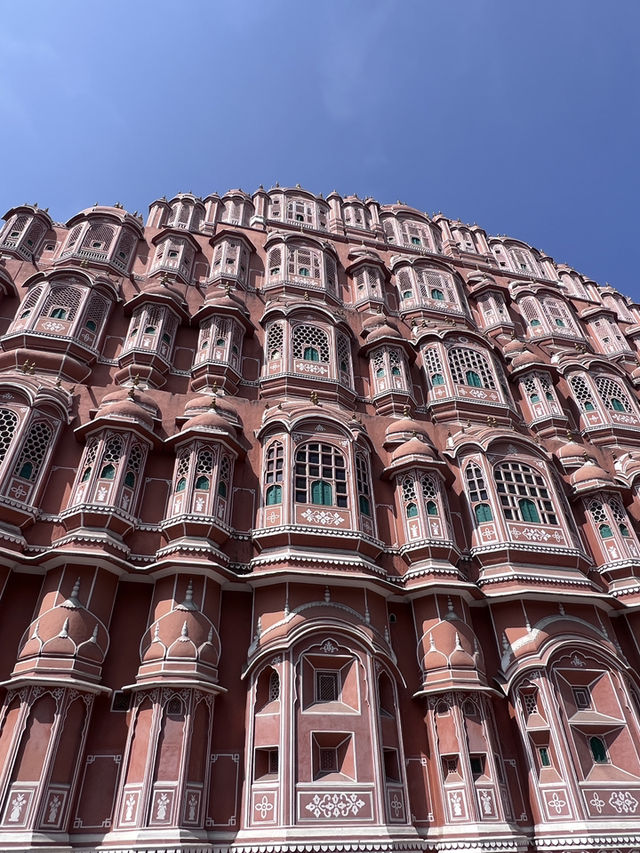 インド・ジャイプールに行くべき5つの理由🇮🇳✈️🌎
