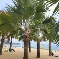 🌴🌊 Escape to Paradise at Dameisha Beach, Shenzhen! 🇨🇳