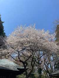 It is a Michelin three-star tourist destination