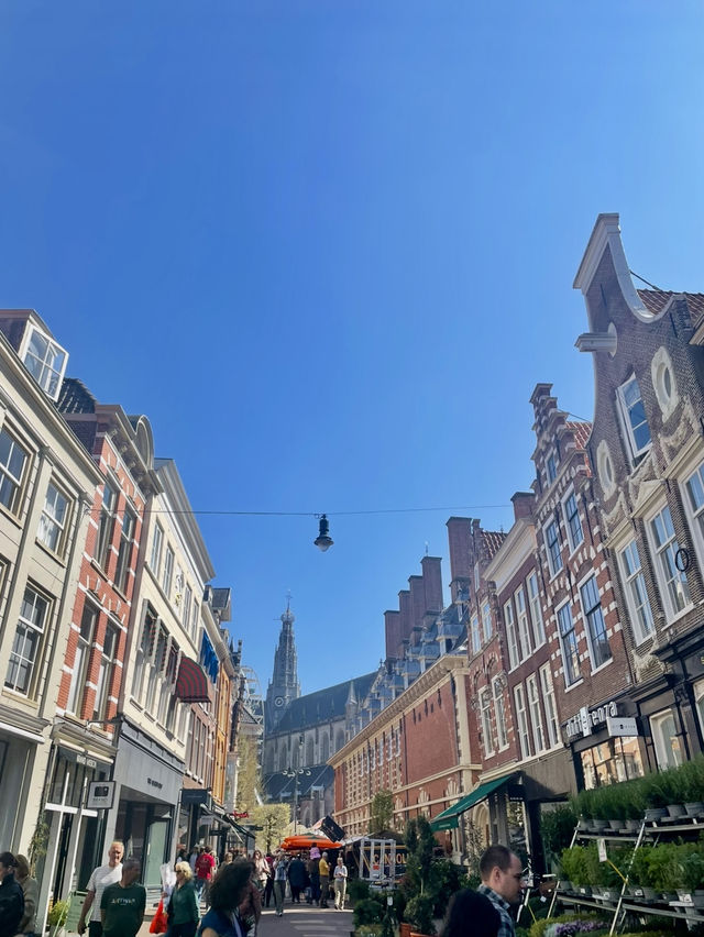 【オランダ🇳🇱】実は知られてない！？オランダ旅行で行きたいZaandamとHaarlem🇳🇱🌷