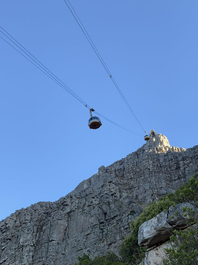ケープタウンのシンボルであるテーブルマウンテンに登ってみた⛰️
