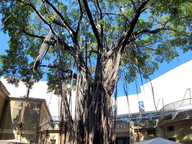 走讀古代及近代愛國文人理想及堅持
