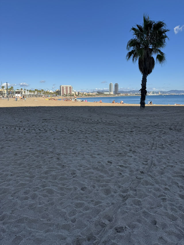 5-Day Budget-Friendly Barcelona Itinerary