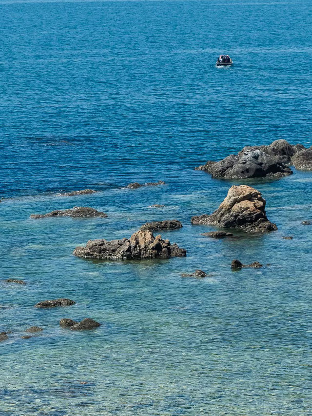 Seashells, Sunshine, and Seafood: A Day in Yantai