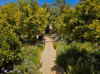 🌿 Le Jardin Secret – A Hidden Oasis in the Heart of Marrakech