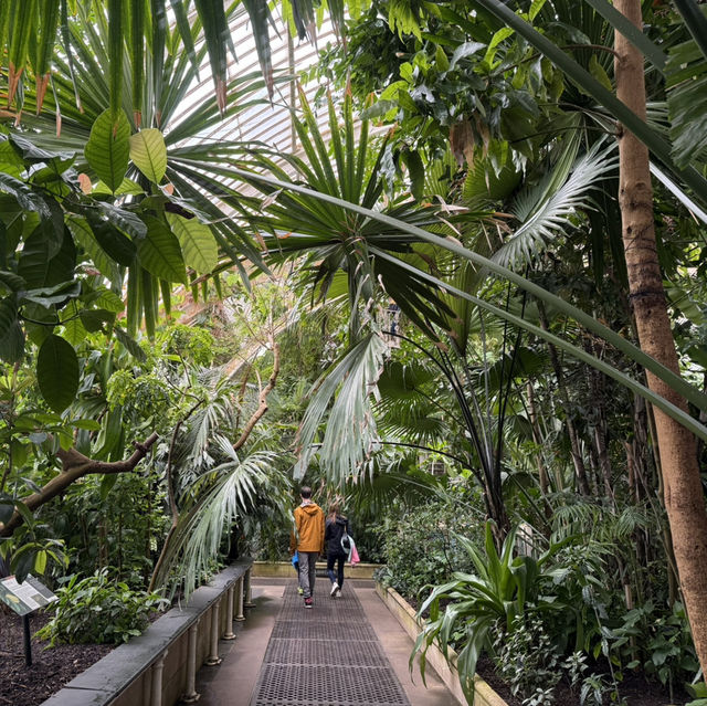 Escape the City: Kew Gardens – London’s Secret World of Green