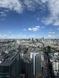 Skyline Dreams Tokyo🌙