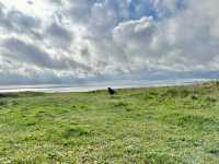 Hengisbury Head Dorset