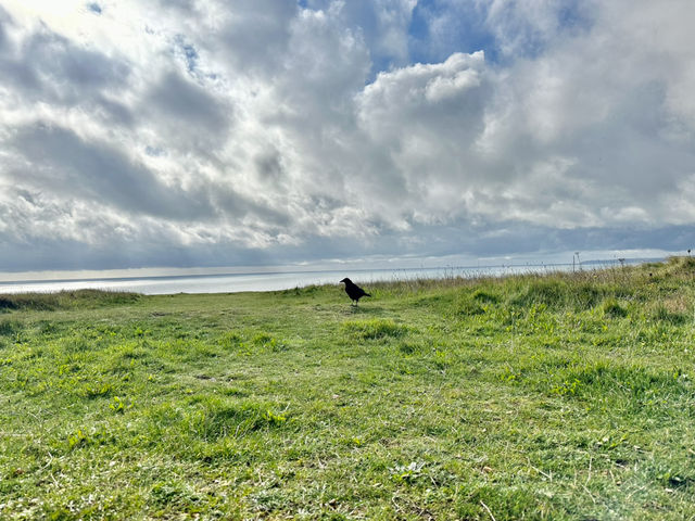 Hengisbury Head Dorset