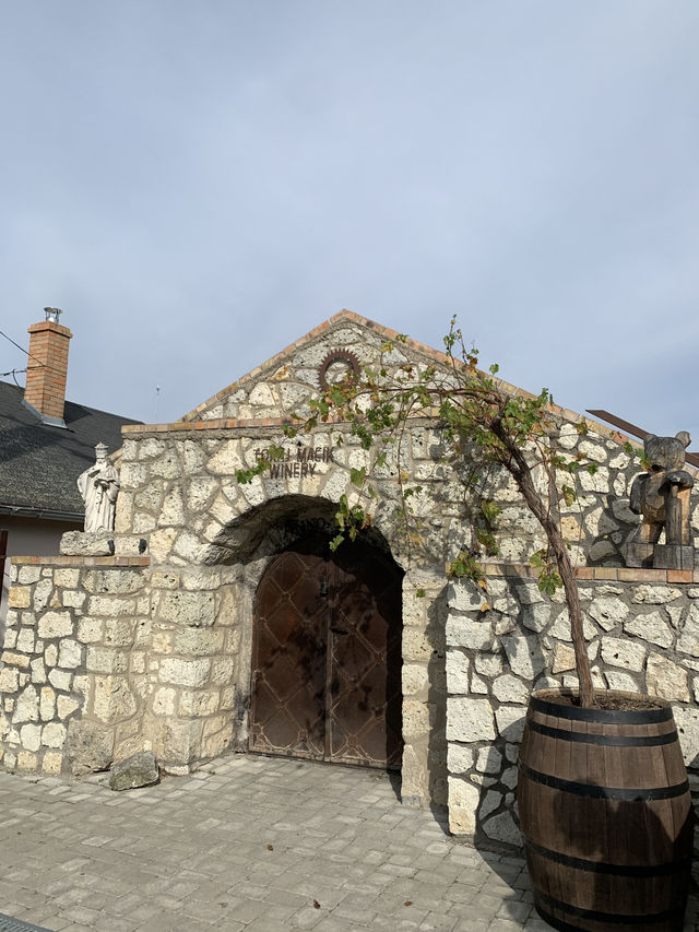🍇 Tokaj: Land of Legendary Wine