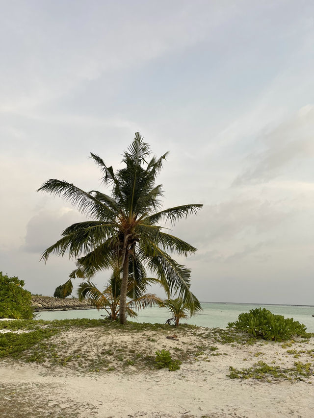 🏝️ Thulusdhoo Sandbank – A Slice of Maldives Heaven 🌊✨