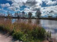 Russia Trip: Zelenogradsk IsThe Resort of Cats and Seaside Charm