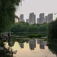 🌿 Hidden Gems Around Swan Lake: Discover Hefei’s Modern Heart