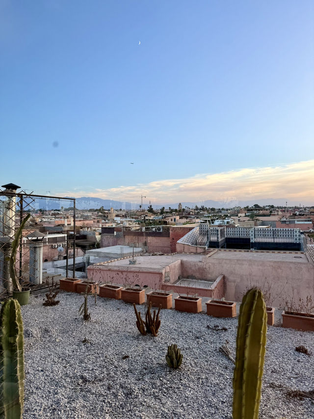 The Soul of the Souk The Soul of the Souk