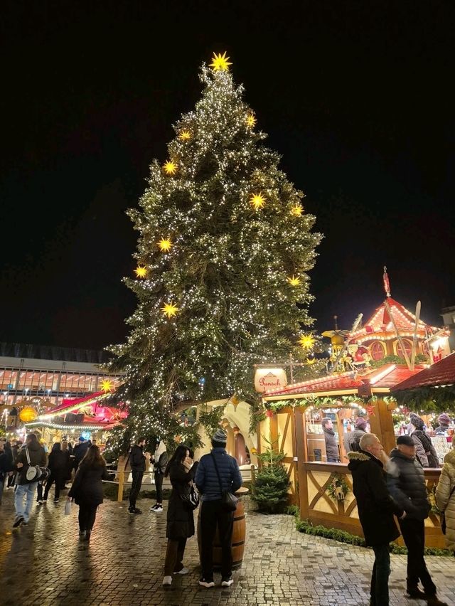 Midwinter Magic✨ Midwinter Magic✨