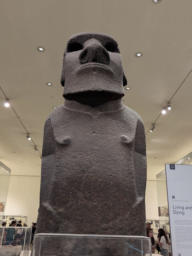 🏛️ The British Museum – A Gateway to Human History