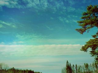 Sweden road trip vibes, epic scenery, and a dash of adventure—here’s how I made the most out of a rental car journey through Stockholm and Gävle 🚗✨ Why spend hundreds when you can see jaw-dropping architecture, open skies, and experience true Swedish beauty without splurging?

Top Spots to Visit:
Stockholm: Start your day cruising the city’s classic streets—so many Insta-worthy facades and bridges. Pro tip: Snap sunset pics near Gamla Stan for max sky drama 🌇  
Gävle: Hit up the iconic old town center for those Swedish vibes (that “Jag älskar svenska” feeling). Walk along the waterfront for cheap eats and cool photos of the beautiful architecture.  

Insights & Tips:
· Renting a car is clutch—Sweden’s roads are smooth, the scenery’s next level, and you get total freedom.  
· Scenery changes on every corner—keep your camera ready.  
· Want to save? Pack snacks and check local bakeries for cheap Swedish fika!  
· Architecture fans: Stockholm and Gävle are both loaded with design gems—explore side streets for surprises.

Getting Around:  
Rental car = major win in Sweden! Parking is pretty easy, especially in Gävle. Stockholm’s city center has great public transport, but road tripping is ideal for those wild landscape shots.

Food Recs:  
Try classic “kanelbullar” (cinnamon buns) from local cafés, and don’t skip out on eating by the water in Gävle!

I truly love driving in Sweden and visiting it.

Hashtags: #SwedenRoadTrip  #StockholmViews  #GävleBeauty  #TravelTips 