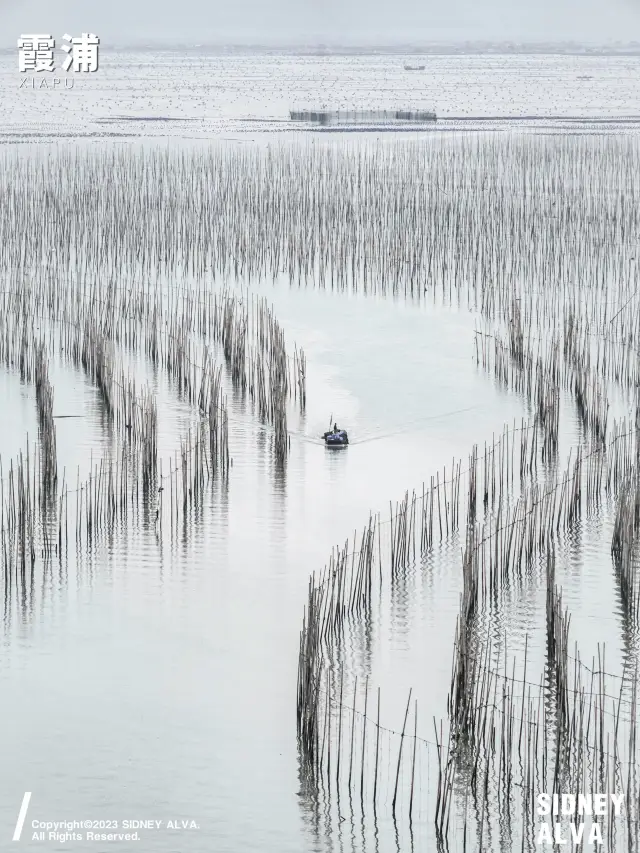 為了這兩個場景，我特意去了趟霞浦