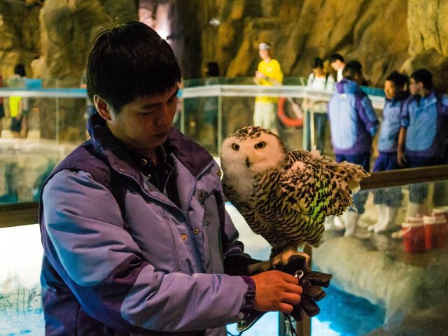 Thrills at Ocean Park!