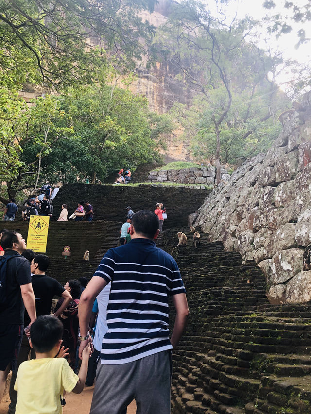 Sri Lanka 🇱🇰 must-visit attraction - Lion Rock