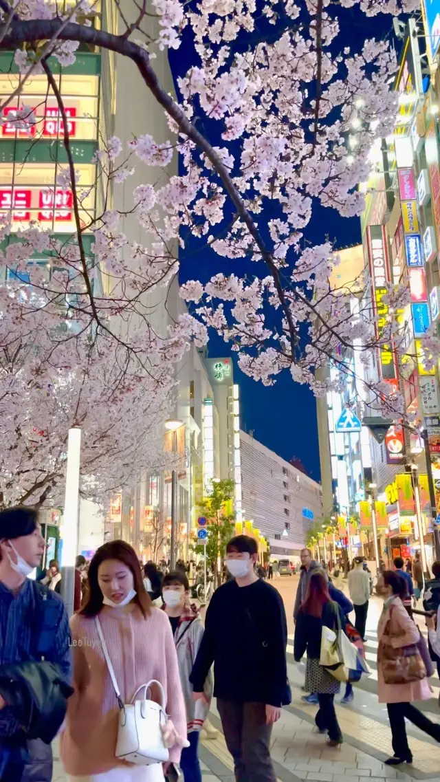 Tokyo Dreams Come True: Experience the Magic of Shinjuku Vibes 🌸🌸🌸