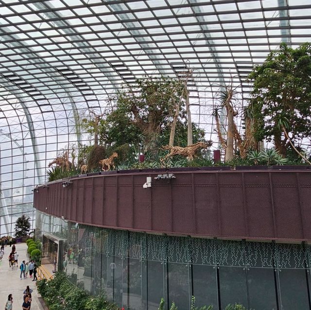 Gardens by the Bay