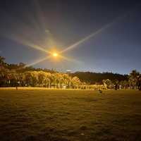 Stunning nighttime views of Shenzhen