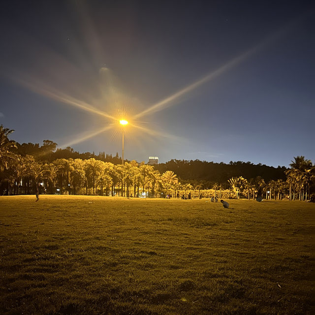 Stunning nighttime views of Shenzhen