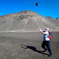 Mount "DOOM" In Its Glory | Tongariro 