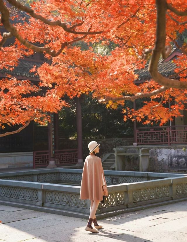 深秋的杭州有多美!來這九個地方賞秋啦