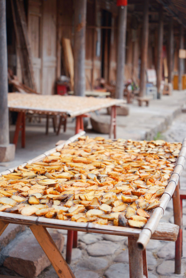 初冬的嶼北,在質樸之外,是斑斕的色彩 初冬的嶼北,在質樸之外,是斑斕的色彩