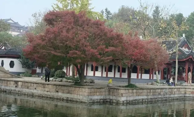 A 'giant' park in Shanghai has become popular, boasting a 300-year-old ancient bridge, now open for free