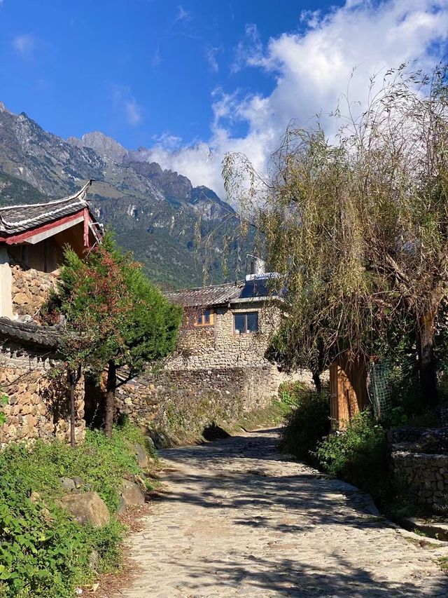 雲南麗江玉湖村｜玉龍雪山腳下千年古村落