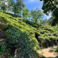 Little Adam’s Peak