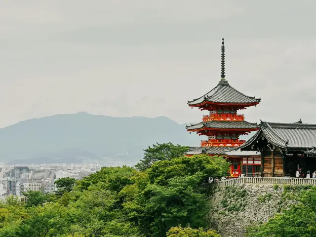 🤯 京都、バックパッカーの天国🌿